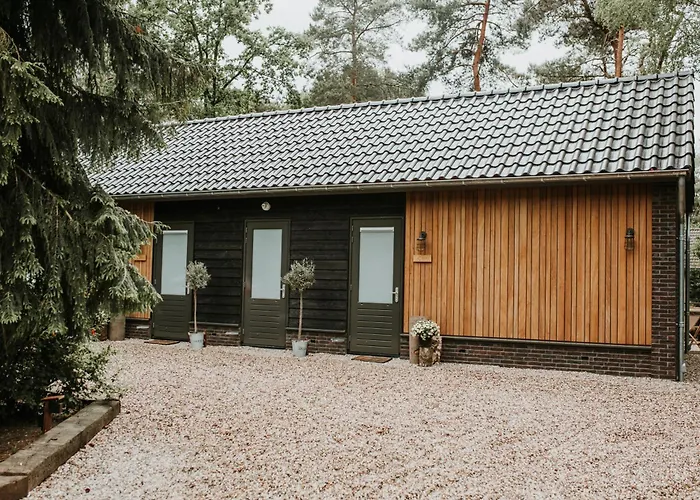 Forrest Suites
