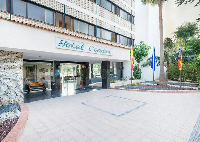 Nura Condor Playa de Palma 