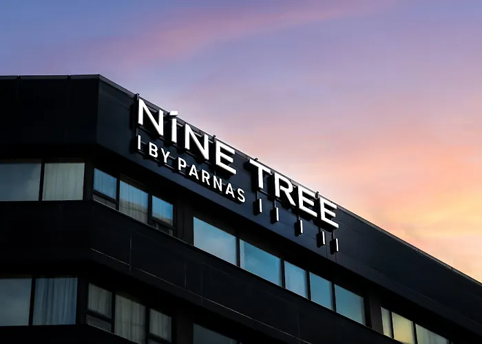 Nine Tree By Parnas Seoul Myeongdong 1