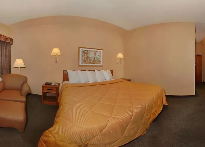 Comfort Inn Near Medical Center