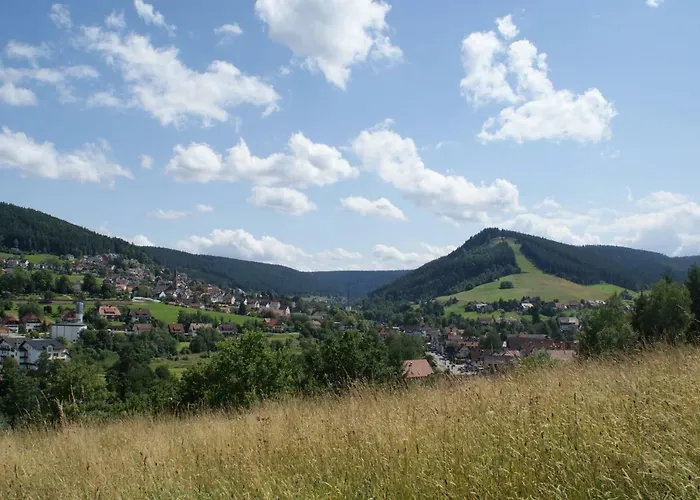 Hotel Pension Haus-Sommerberg Baiersbronn