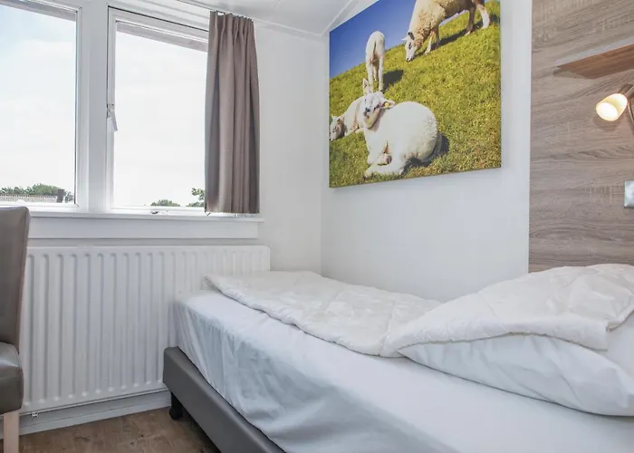 Bosruiter De Koog - Texel